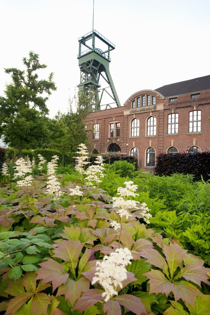 Ein historisches Industriegebäude mit einem grünen Förderturm im Hintergrund, umgeben von üppigem Grün und blühenden Pflanzen.